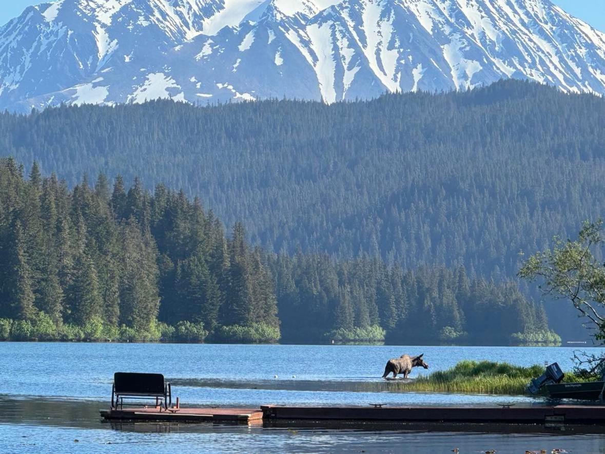 سيوارد Bear Lake Lodgings B&B, Inc المظهر الخارجي الصورة